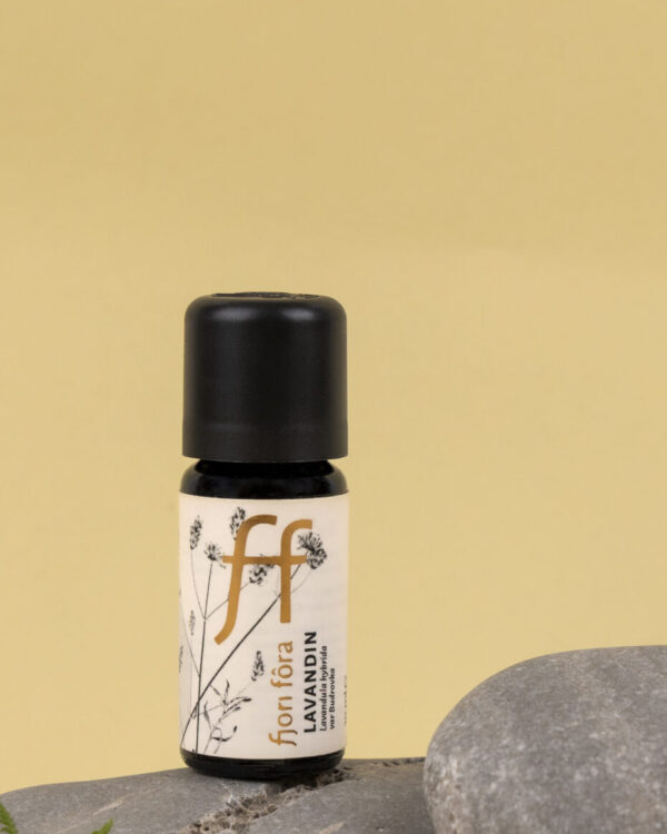 Eterično ulje – Lavandin