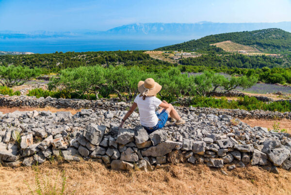 Osoba sa šeširom sjedi na suhozidu s pogledom na maslinik i more u pozadini.